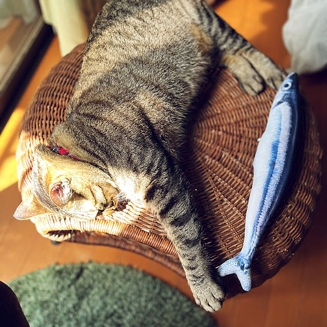 mikan161さんの部屋