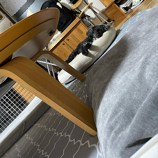 Chipさんの実例写真