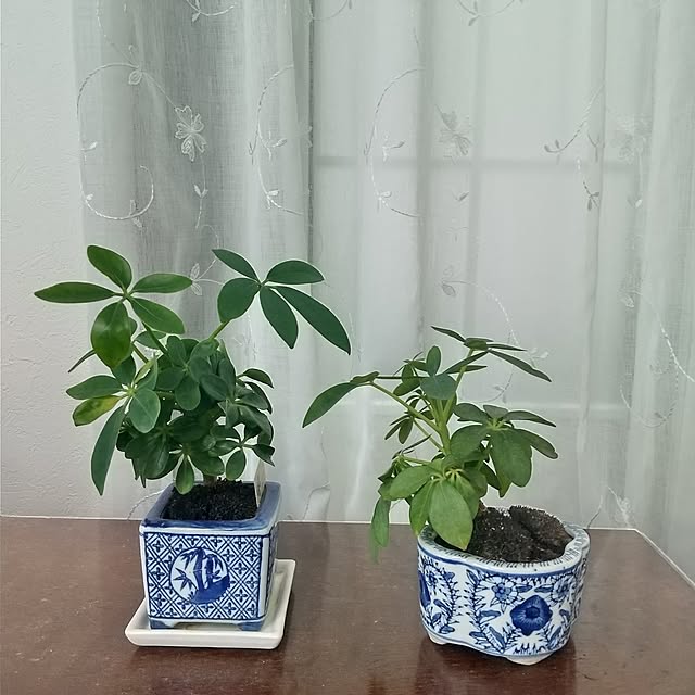 Rさんの部屋