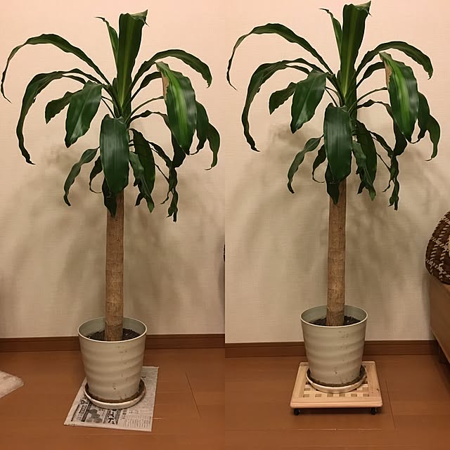 Kimさんの実例写真