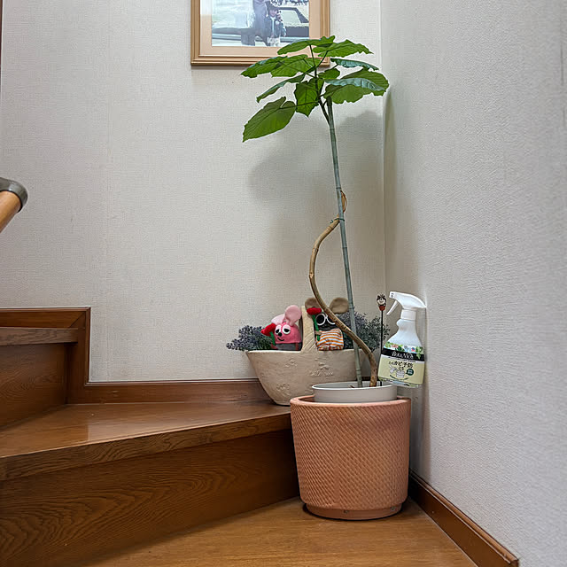 chIoeさんの実例写真