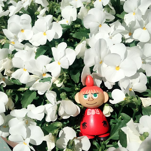okeiさんの実例写真
