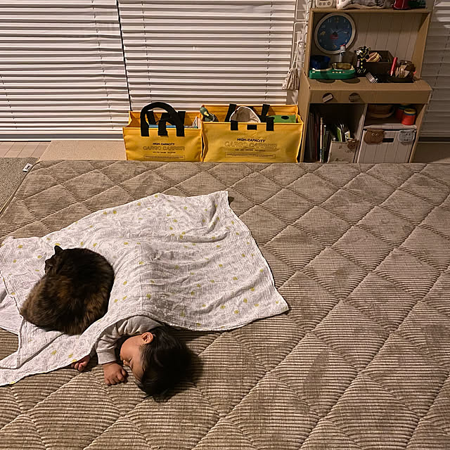 mikomaruさんの実例写真