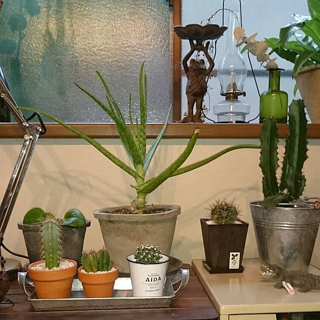 mizuさんの実例写真