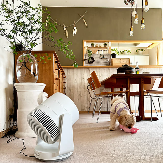 chachamamaさんの部屋