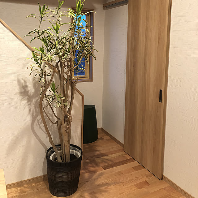arisanさんの実例写真