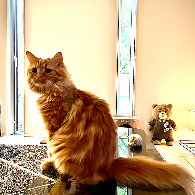beanさんの実例写真