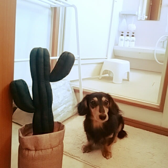 reonさんの実例写真