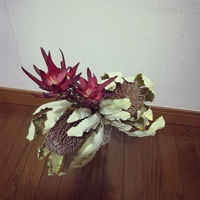 baron2017さんの実例写真