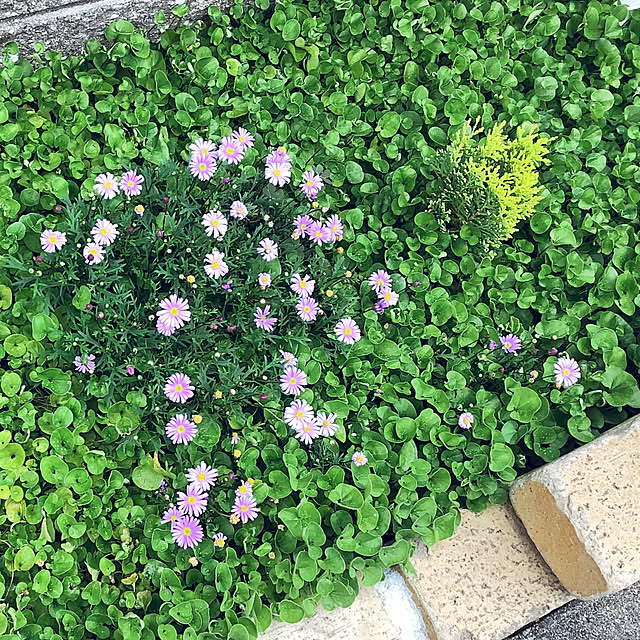 haruminさんの部屋