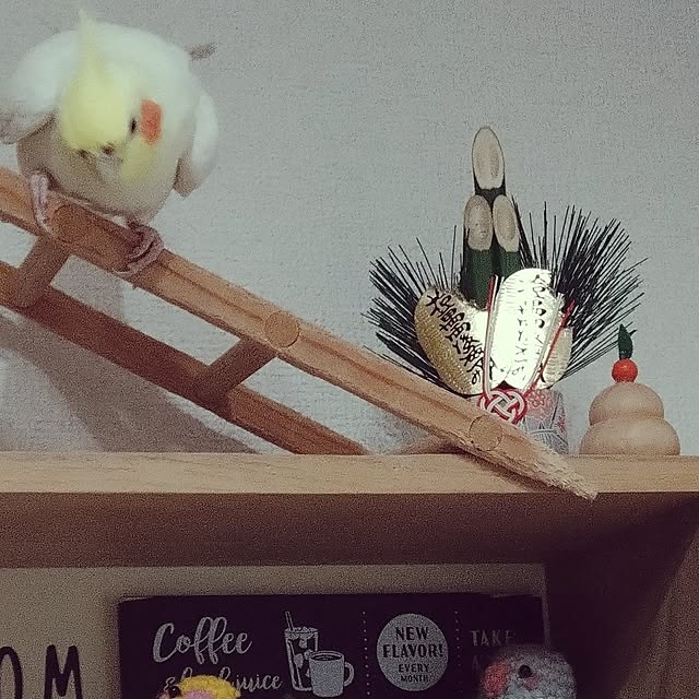 toratanさんの実例写真