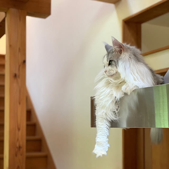 Kikko.さんの実例写真