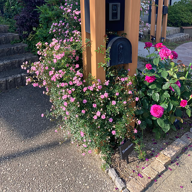 実例写真