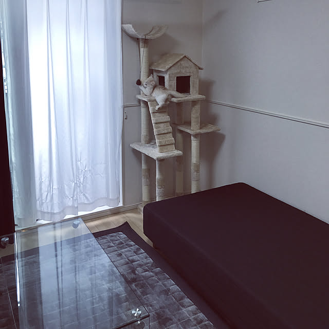H.Tさんの実例写真
