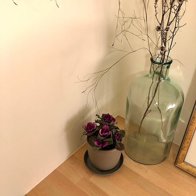 Okoさんの実例写真