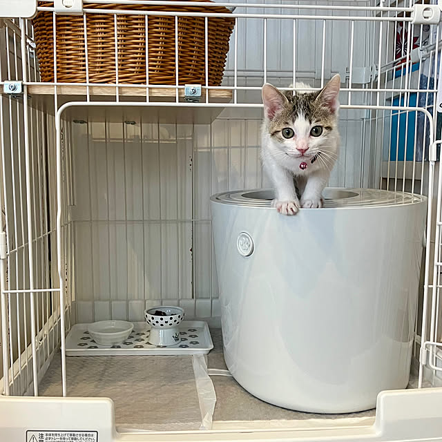 ayataroさんの部屋