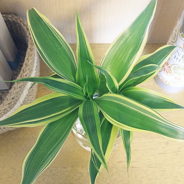 72chocoさんの部屋