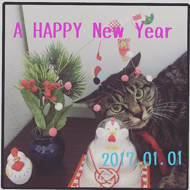 niconicoさんの実例写真