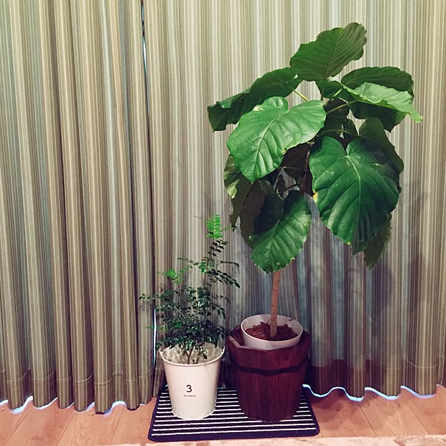 riaさんの実例写真