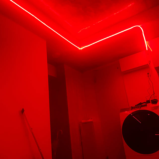 照明/モノトーン/部屋全体のインテリア実例 - 2019-11-27 22:16:56