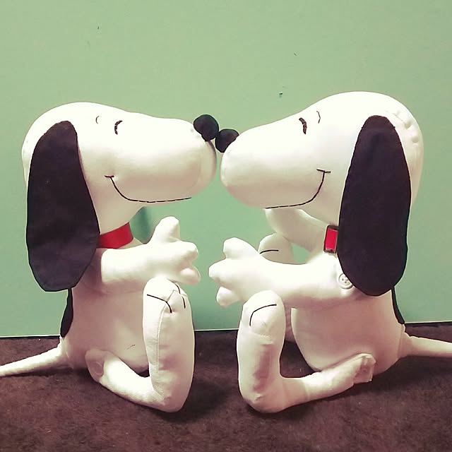 izupezさんの実例写真