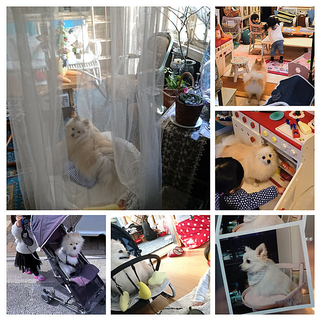 akaidarumaさんの部屋