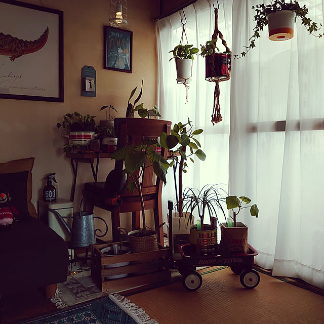fukuさんの実例写真