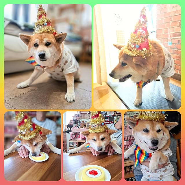 nanaさんの実例写真