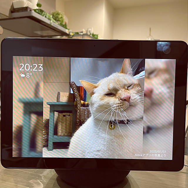aureaさんの実例写真