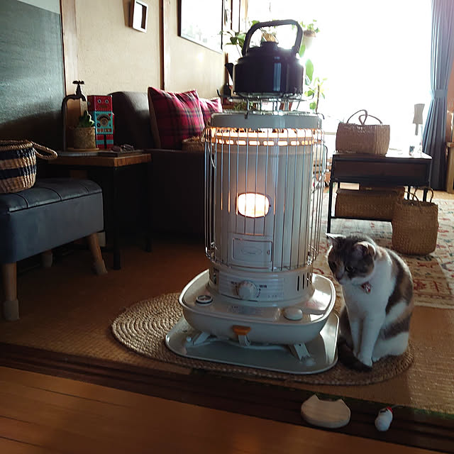fukuさんの実例写真