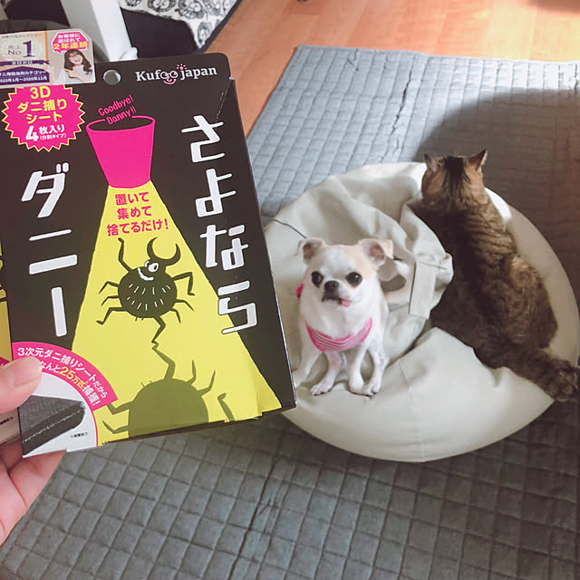 Emiさんの実例写真