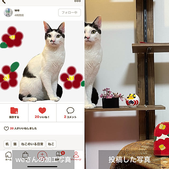 nobikoさんの実例写真