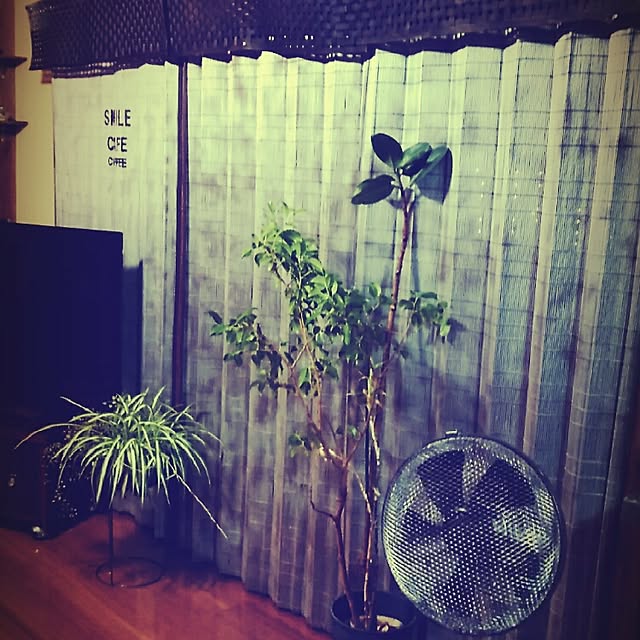 midoさんの実例写真