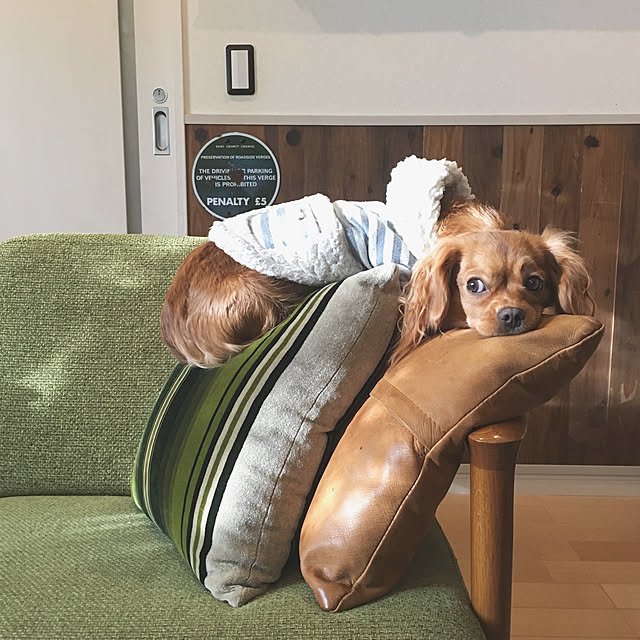 eriさんの実例写真