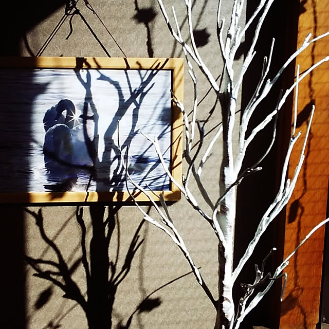 mokurenさんの実例写真