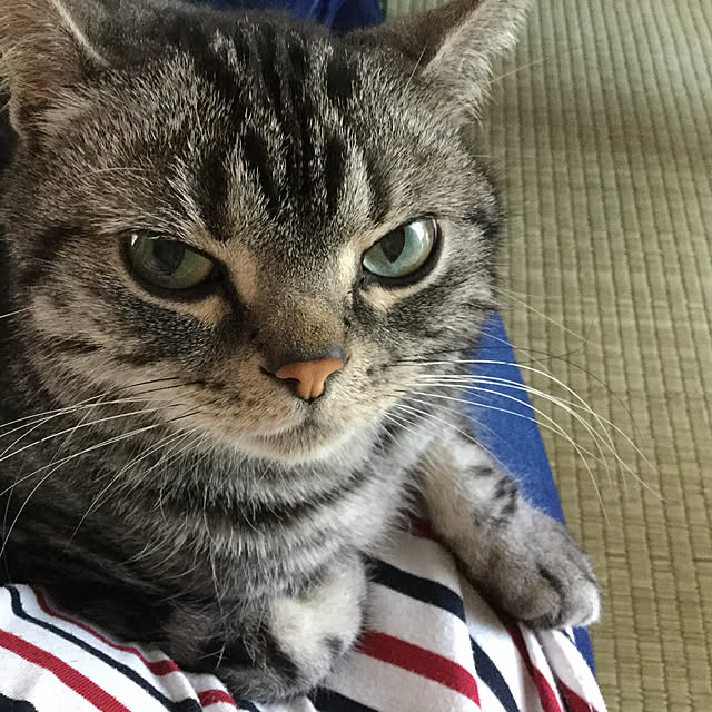 richanさんの実例写真