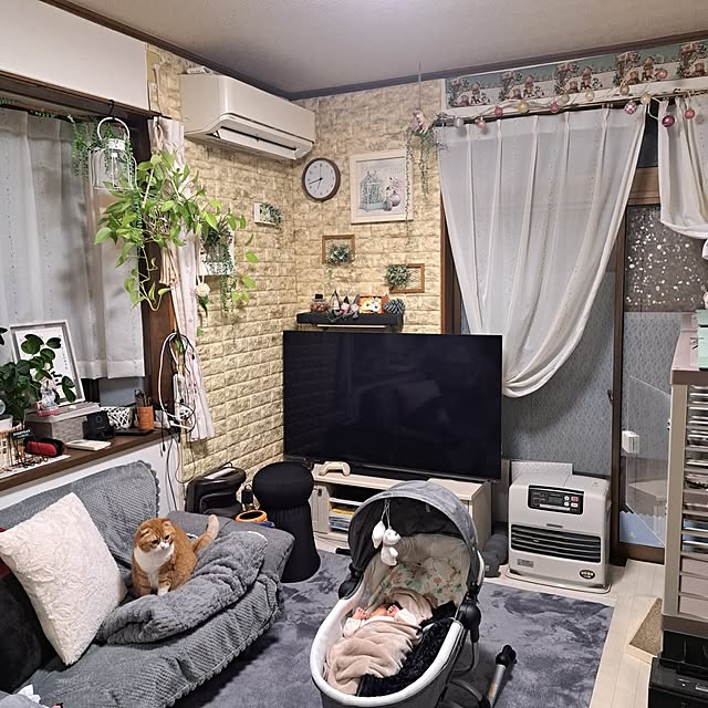 部屋全体/誕生/ねこのいる暮らし/インスタ→kuming933/ご訪問ありがとうございます♡のインテリア実例 - 2024-03-03 08:36:56