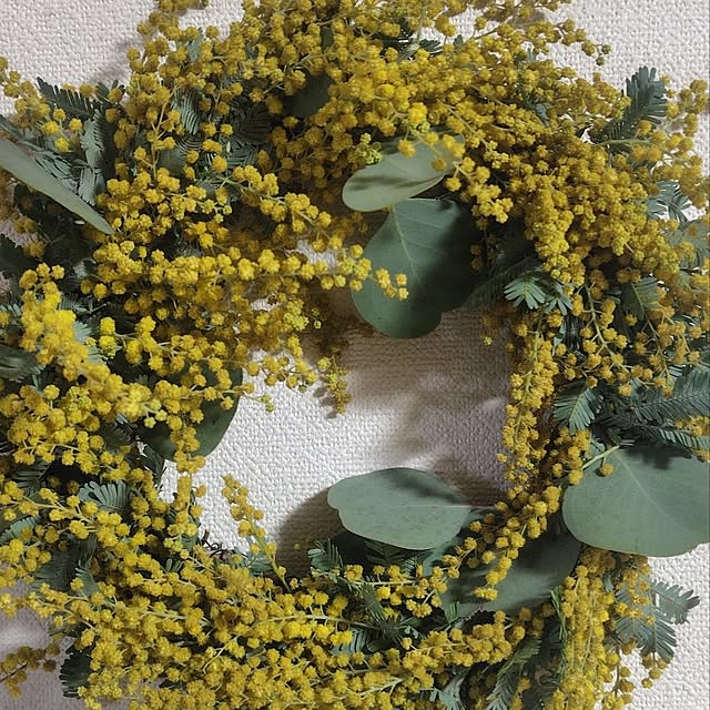 hi-rin50さんの実例写真