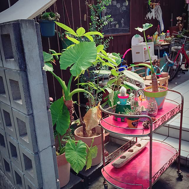 minomonさんの実例写真