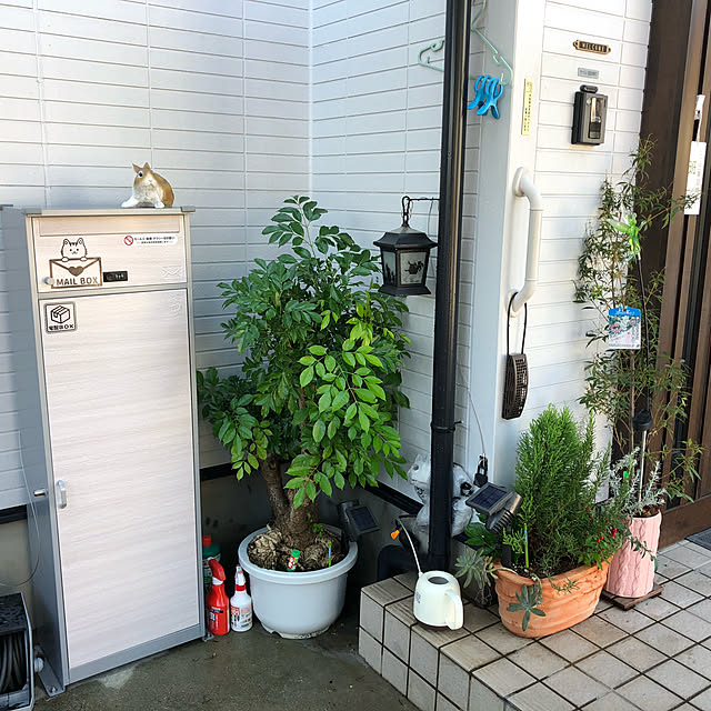 実例写真