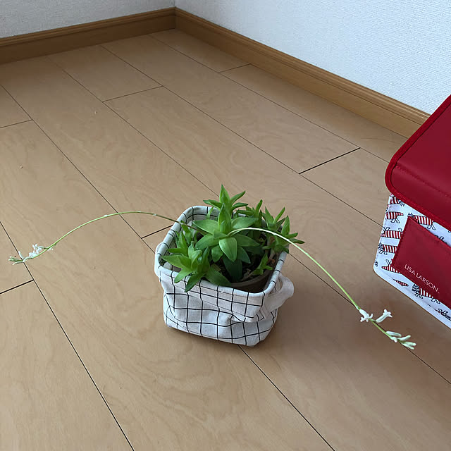 candyさんの実例写真