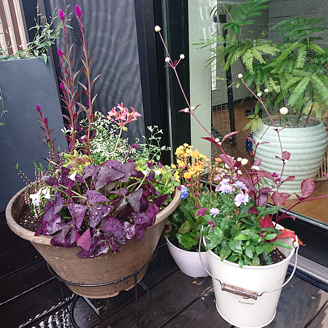 chachahomeさんの実例写真