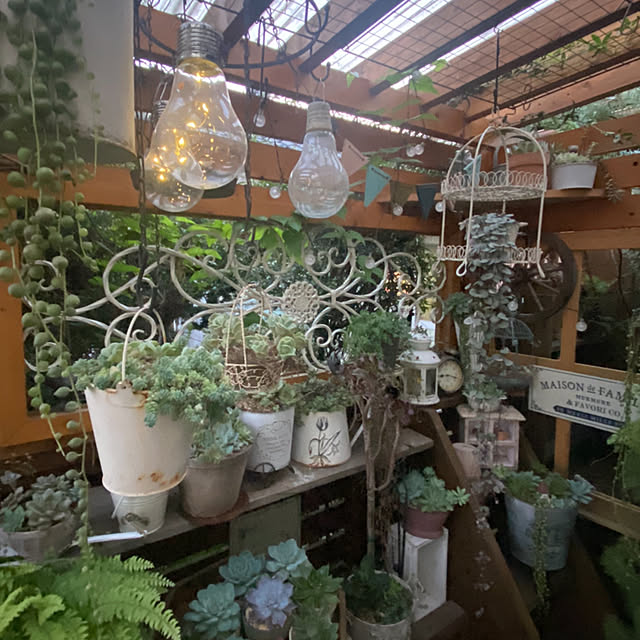 mintteaさんの部屋