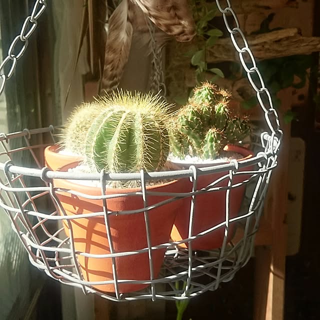 BOOBOOさんの実例写真