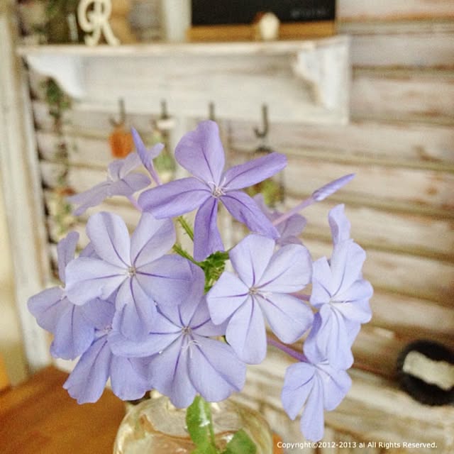 ai.さんの実例写真