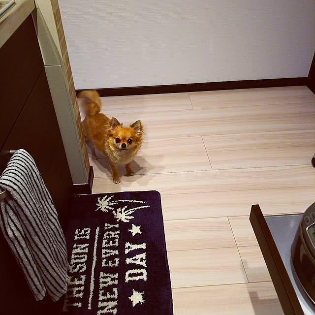 kojikojiさんの実例写真