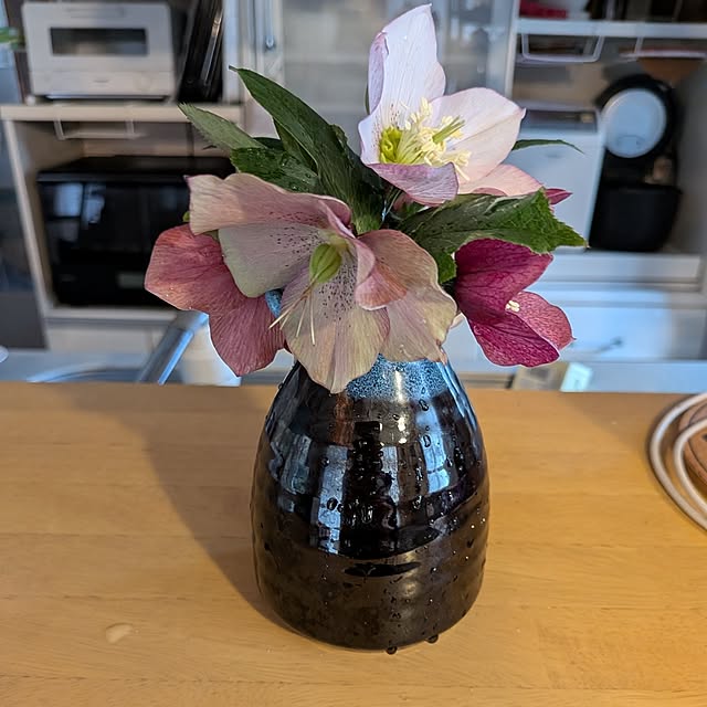 chi_gogaさんの部屋