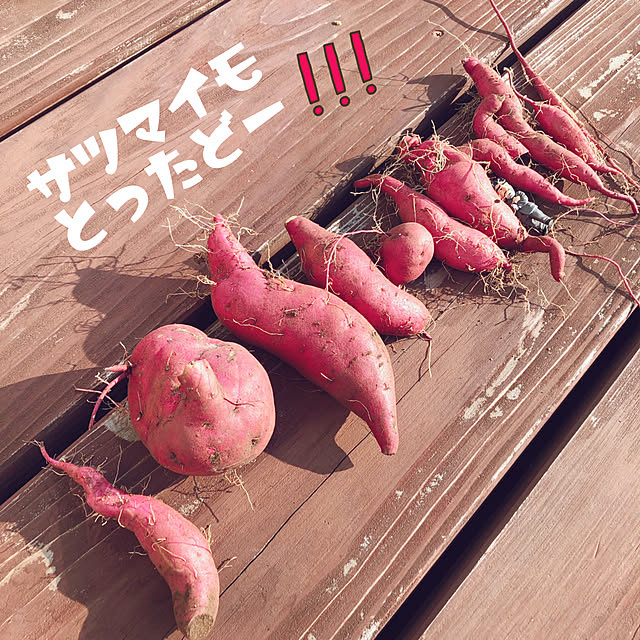 mangoさんの実例写真