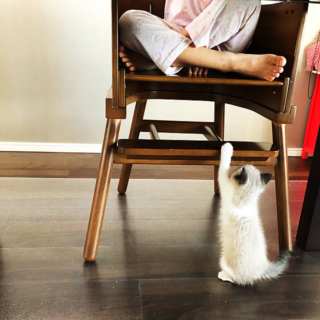 mimirinさんの実例写真