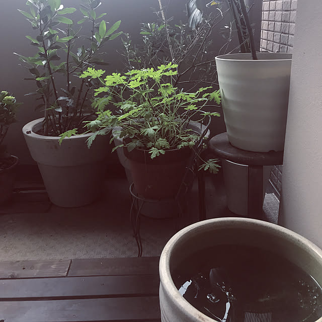 hanaさんの実例写真